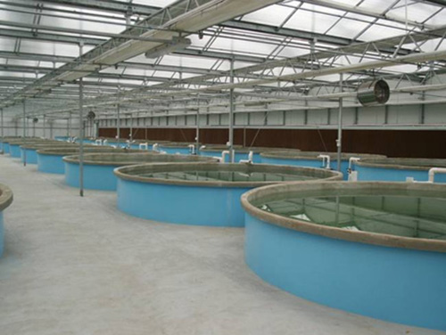 水產養殖溫室